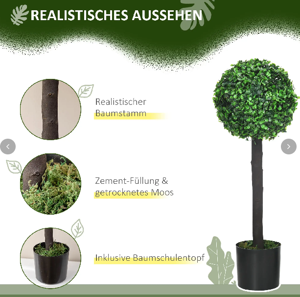 Buchsbaum 2er-Set