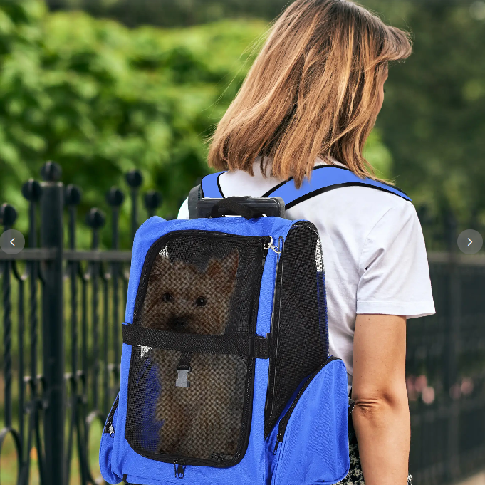 Hundetransporttasche, Haustierrucksack