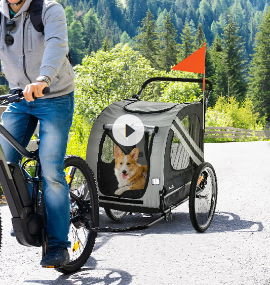 Hundeanhänger Fahrradanhänger 2-in-1