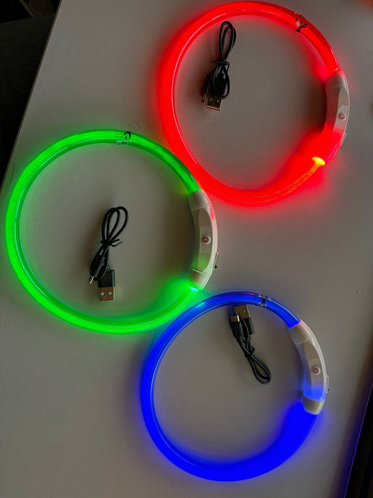 Led Halsband Leuchtie blau grün rot